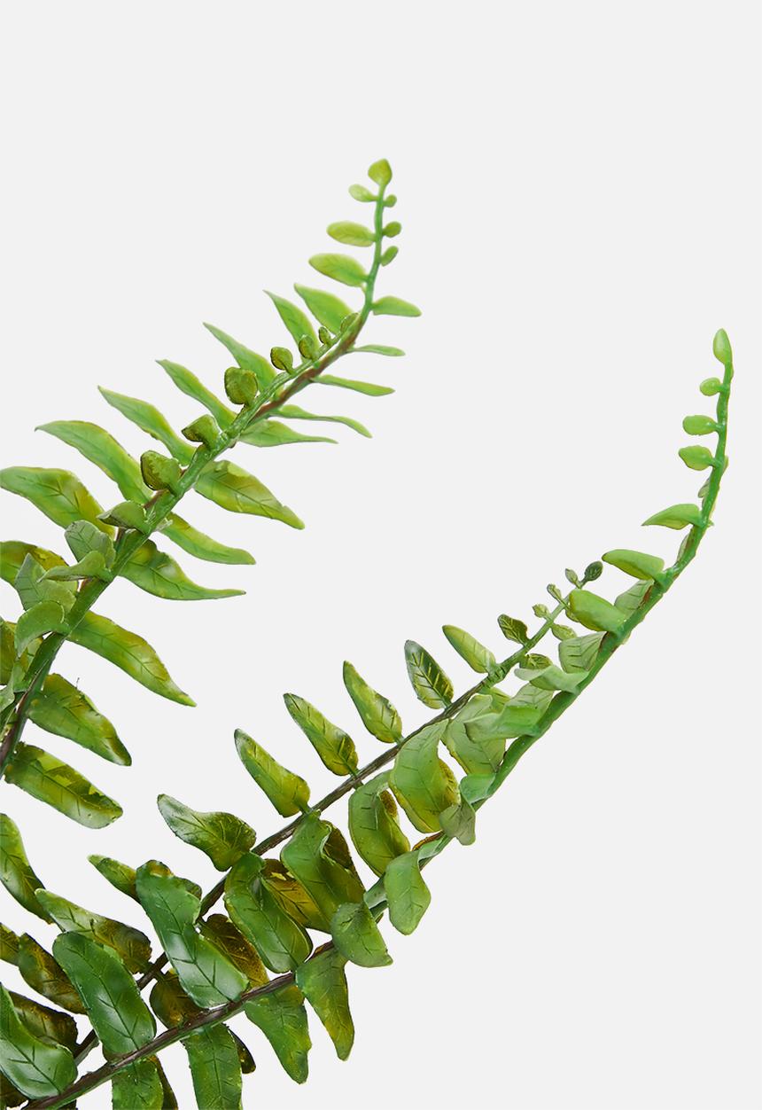 Silk By Design - Boston fern artificial plant - ceramic pot