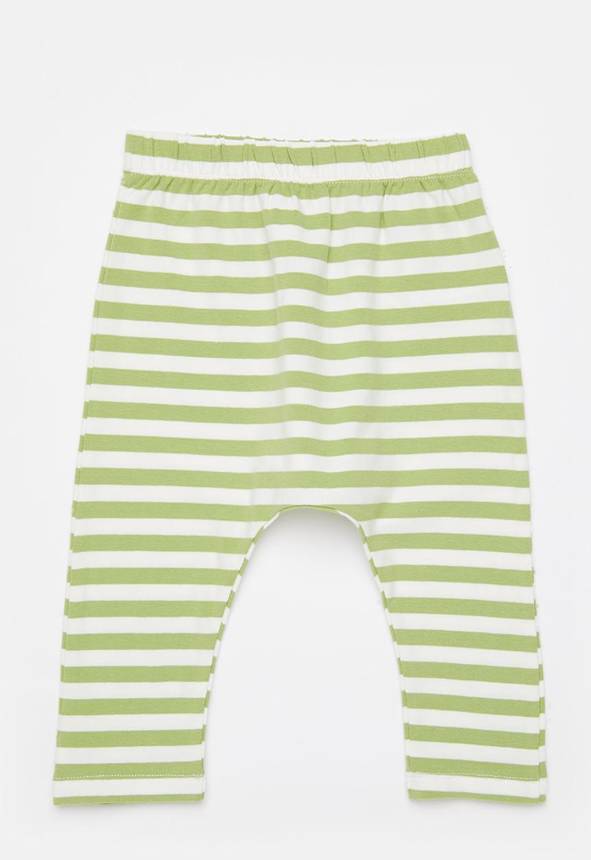Cotton On - The legging - cactus/vanilla hannah stripe