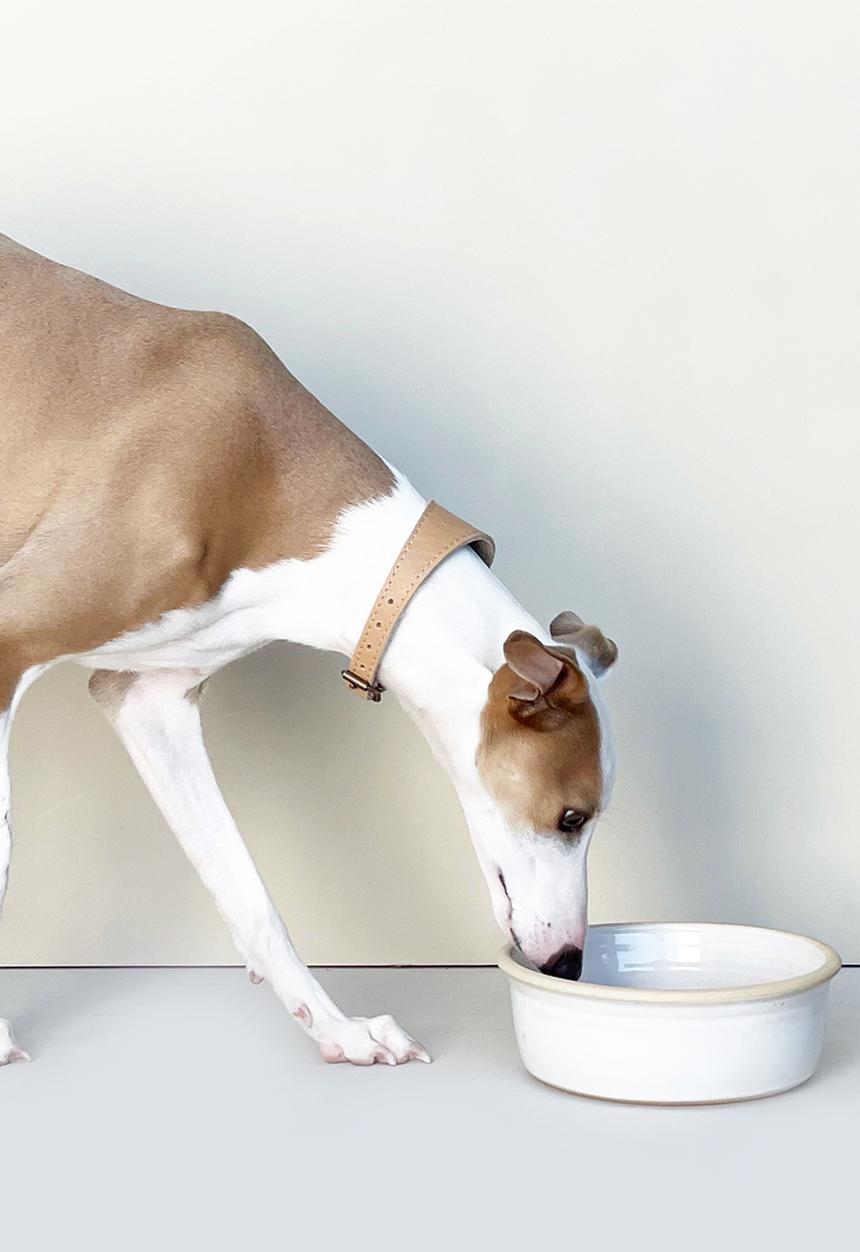 Houndstooth - Pet ceramic bowl - white