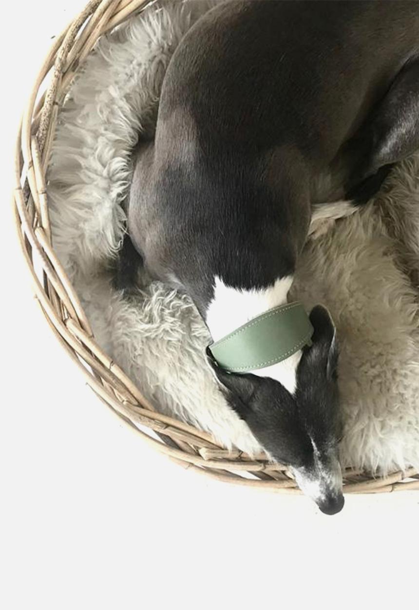 Houndstooth - Lurcher Curve collar - sage