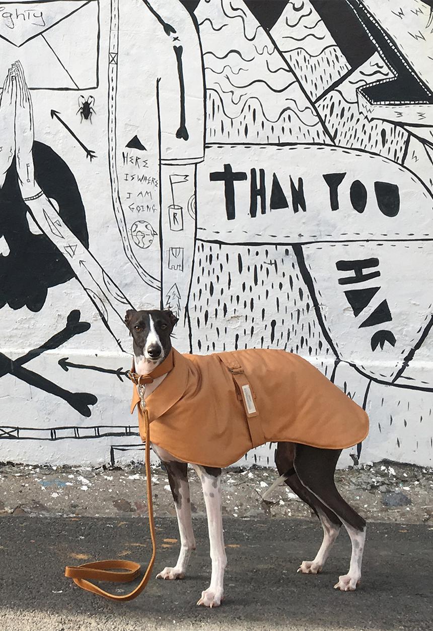 Houndstooth - Tailored reversible coat hound - mustard