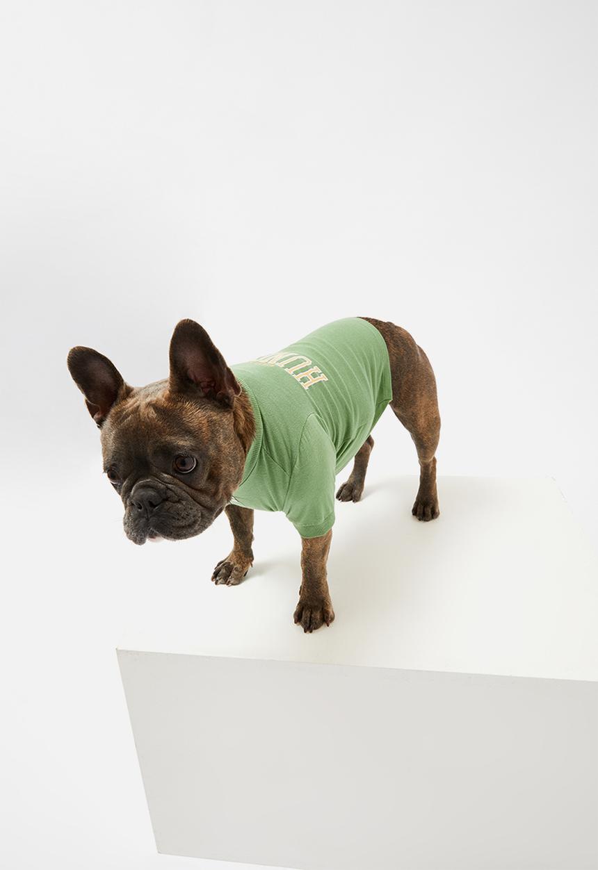 Typo - Pet club dog tee -  heritage green hungry