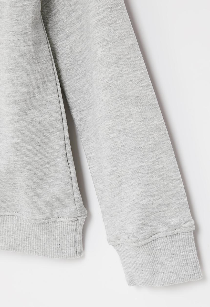 Pop Candy - Dino sweatshirt - grey