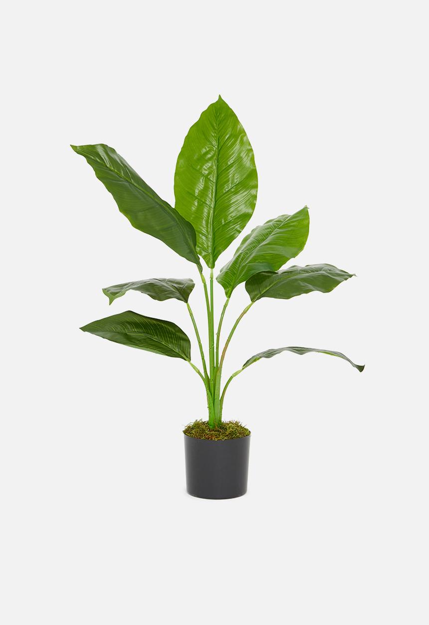 Silk By Design - Spath artificial plant - plastic black pot