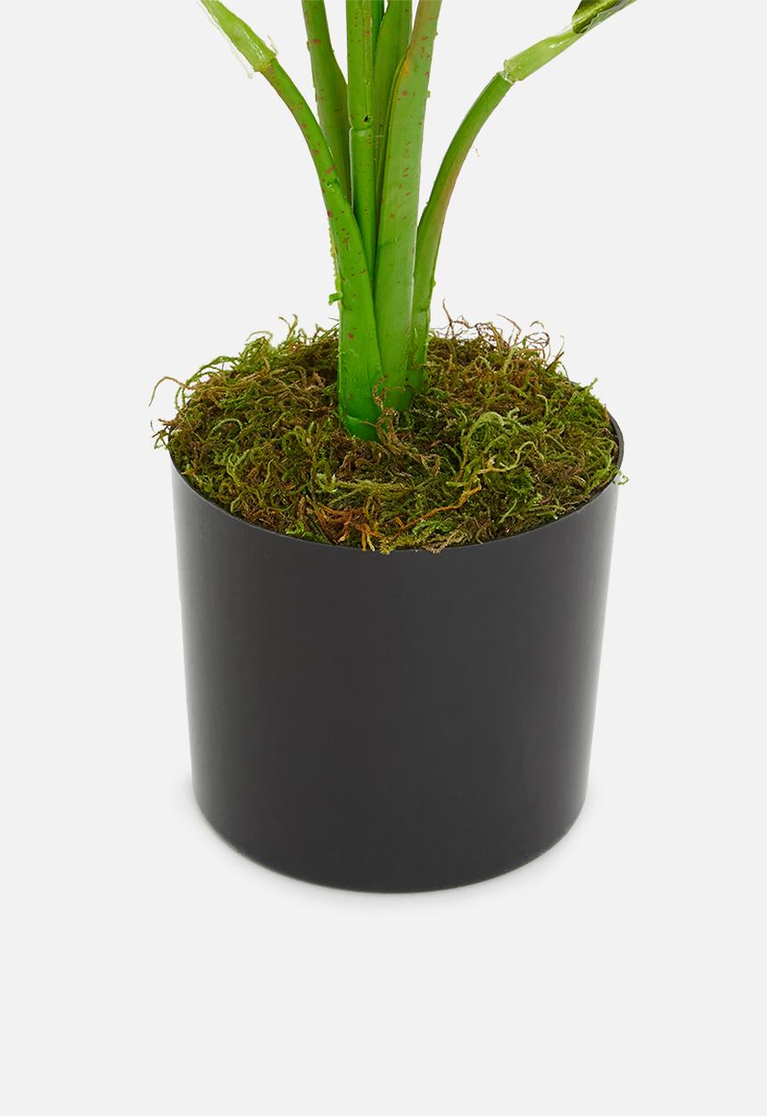 Silk By Design - Spath artificial plant - plastic black pot