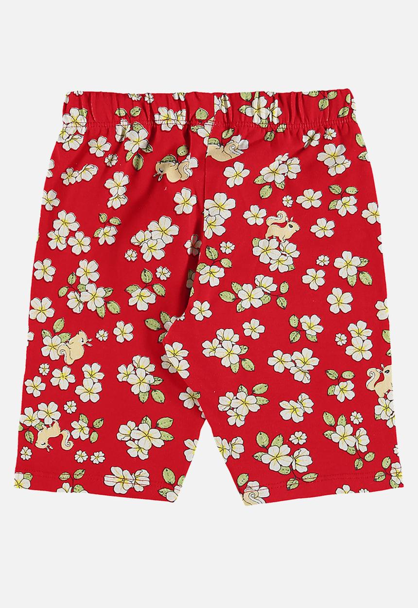 Bee Loop - Blouse and bermuda set - dark blue & red