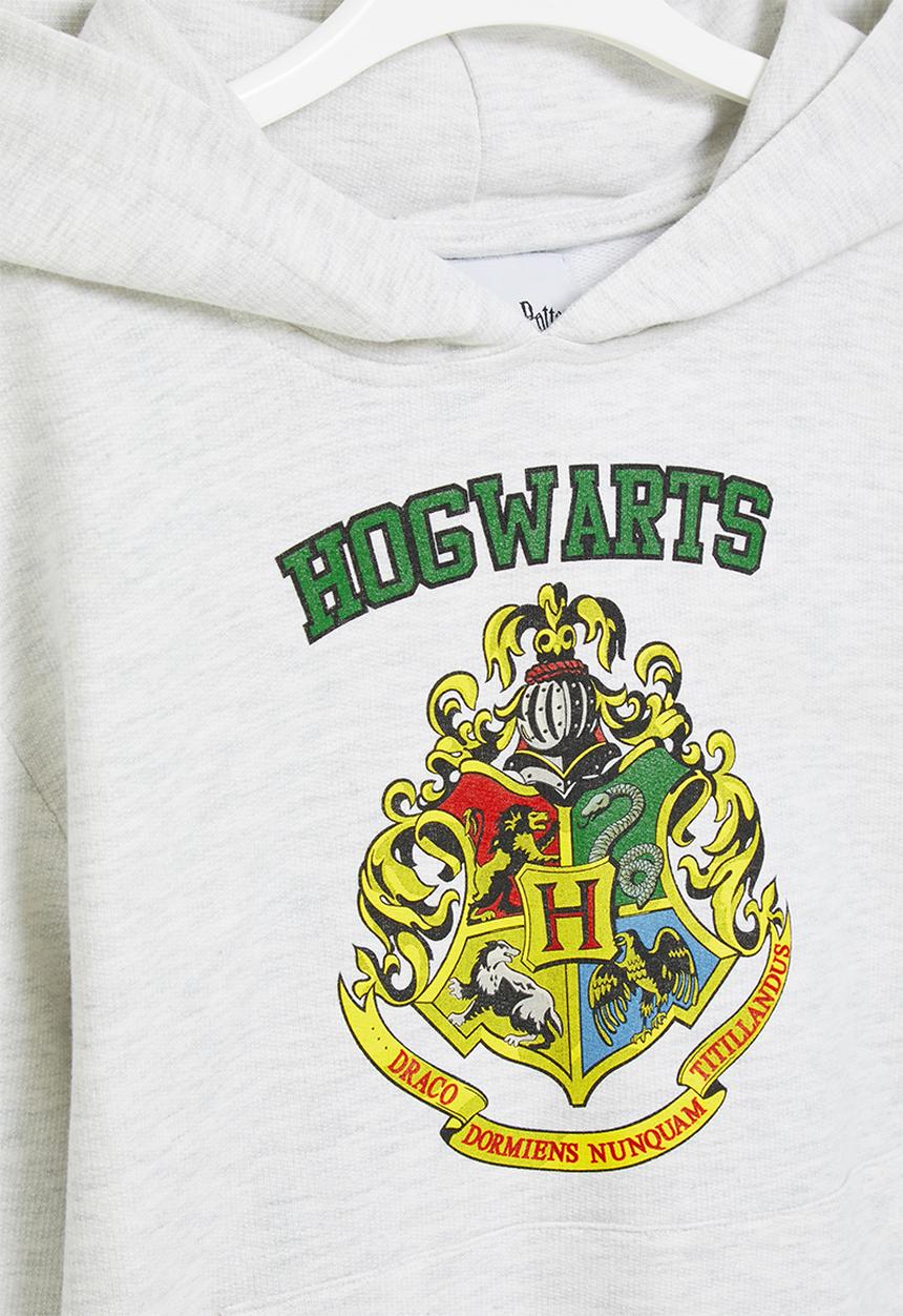 Superbalist - Hogwarts hoodie - grey