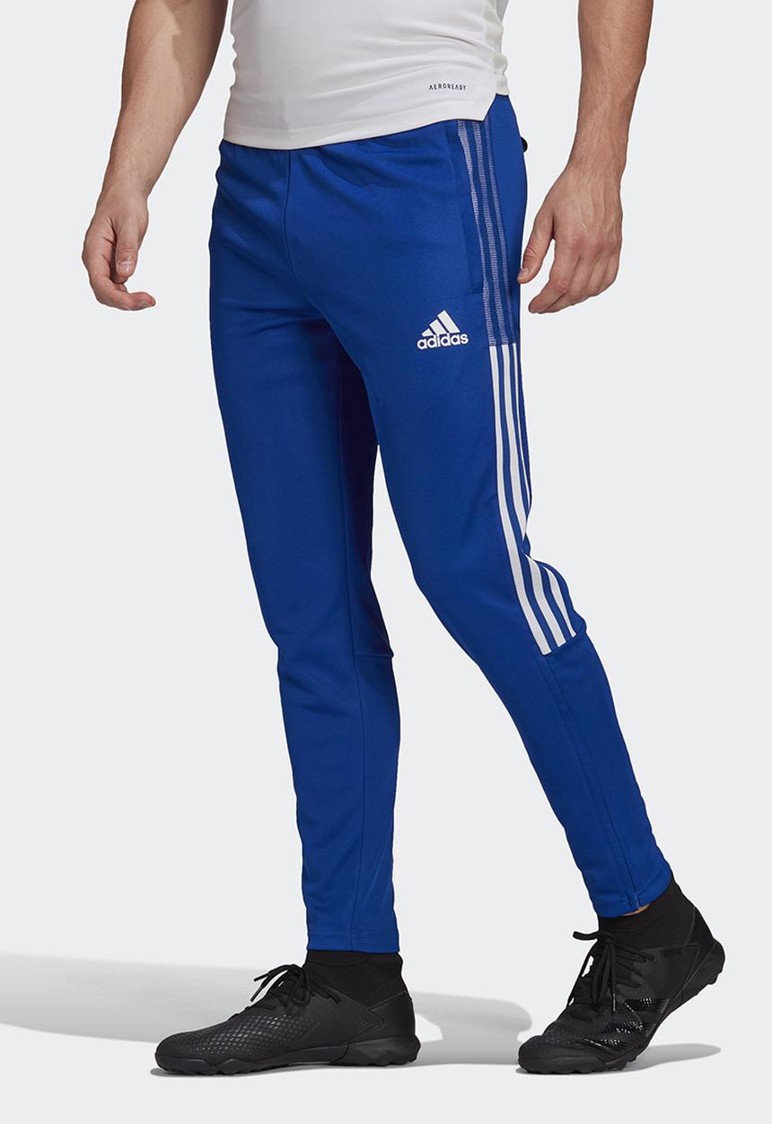 adidas Performance - Tiro 21 Training Pants - team royal blue