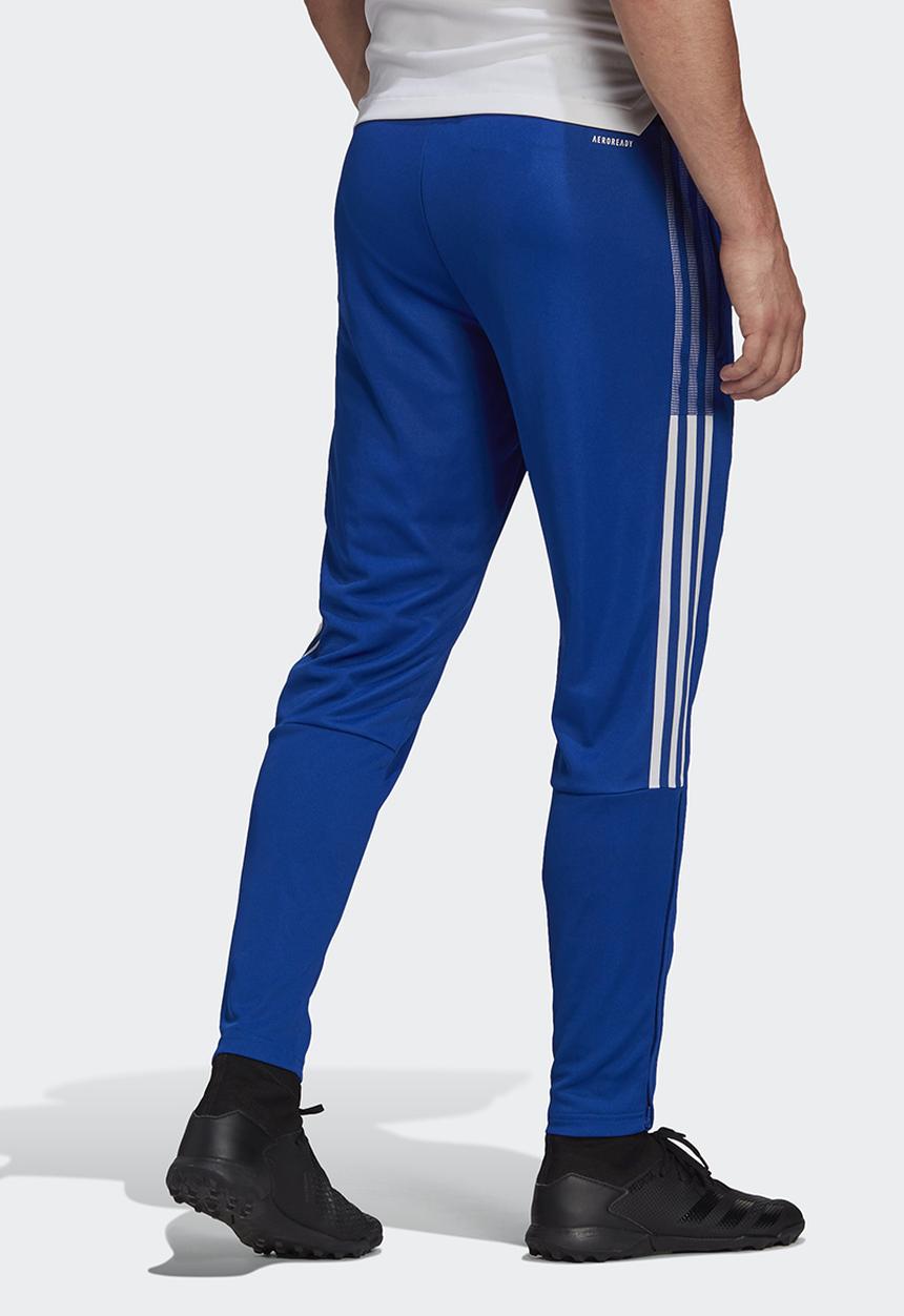 adidas Performance - Tiro 21 Training Pants - team royal blue