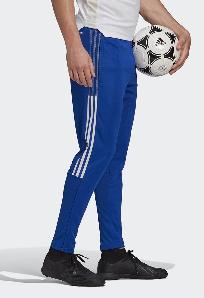 adidas Performance - Tiro 21 Training Pants - team royal blue