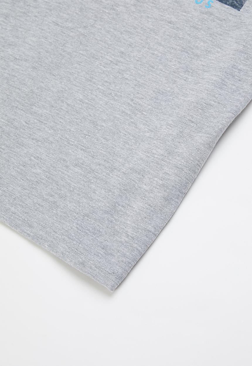 Rebel Republic - Graphic tee - grey melange