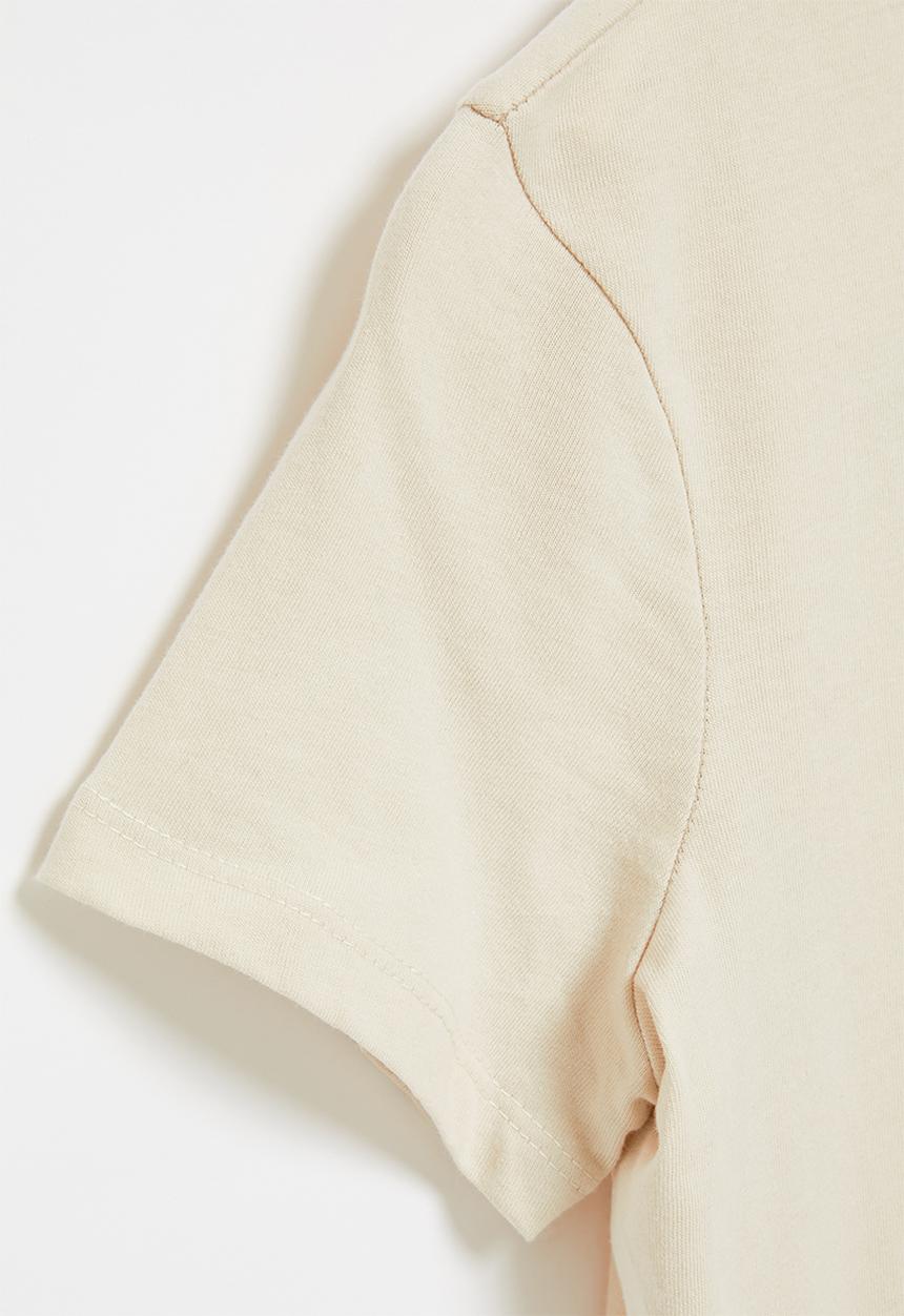 Rebel Republic - Graphic tee - stone