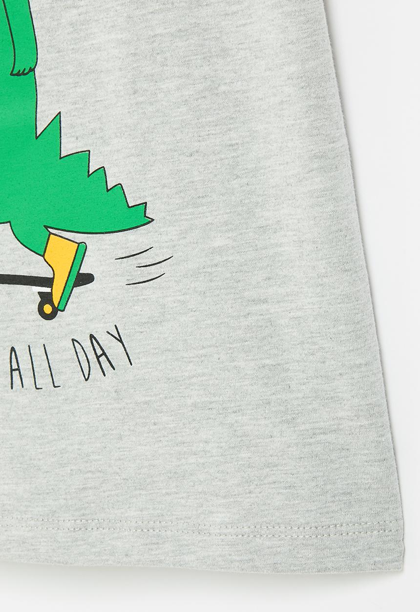 Pop Candy - Boys dino skate tee - grey & yellow