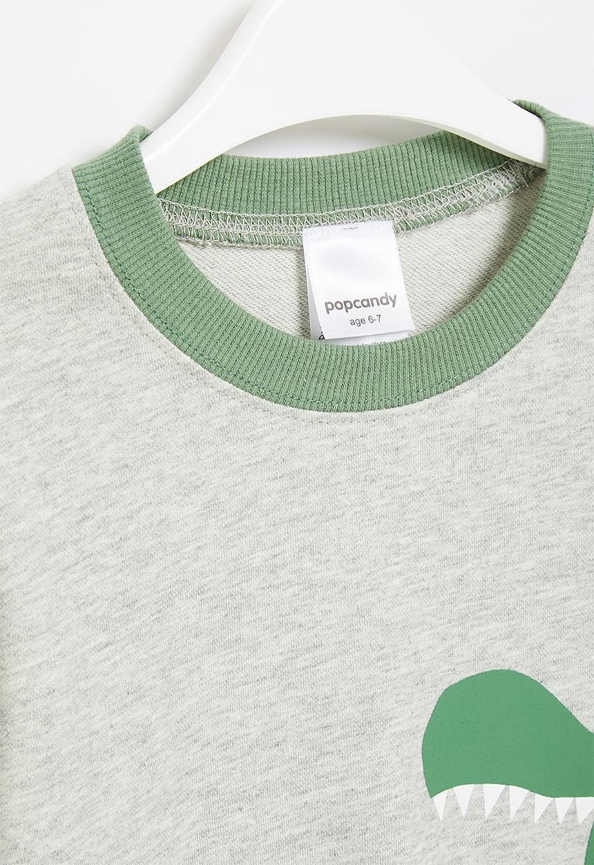 Pop Candy - Boys dino sweatshirt - grey & green
