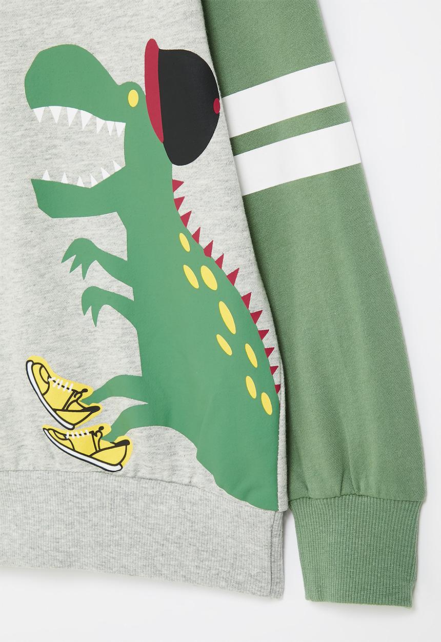 Pop Candy - Boys dino sweatshirt - grey & green