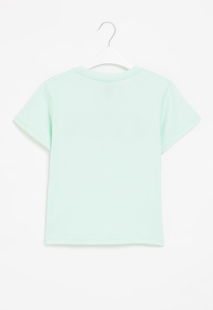 Fox - Fox boys short sleeve tee - green