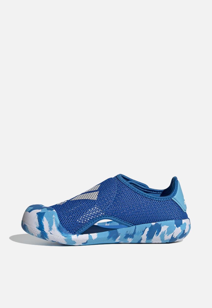 adidas Performance - Altaventure 2.0 c - blue rush/ftwr white/sky rush