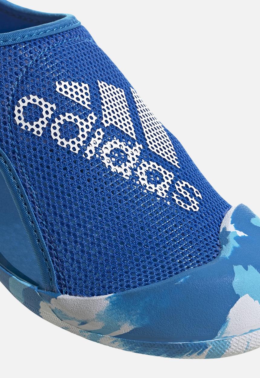 adidas Performance - Altaventure 2.0 c - blue rush/ftwr white/sky rush