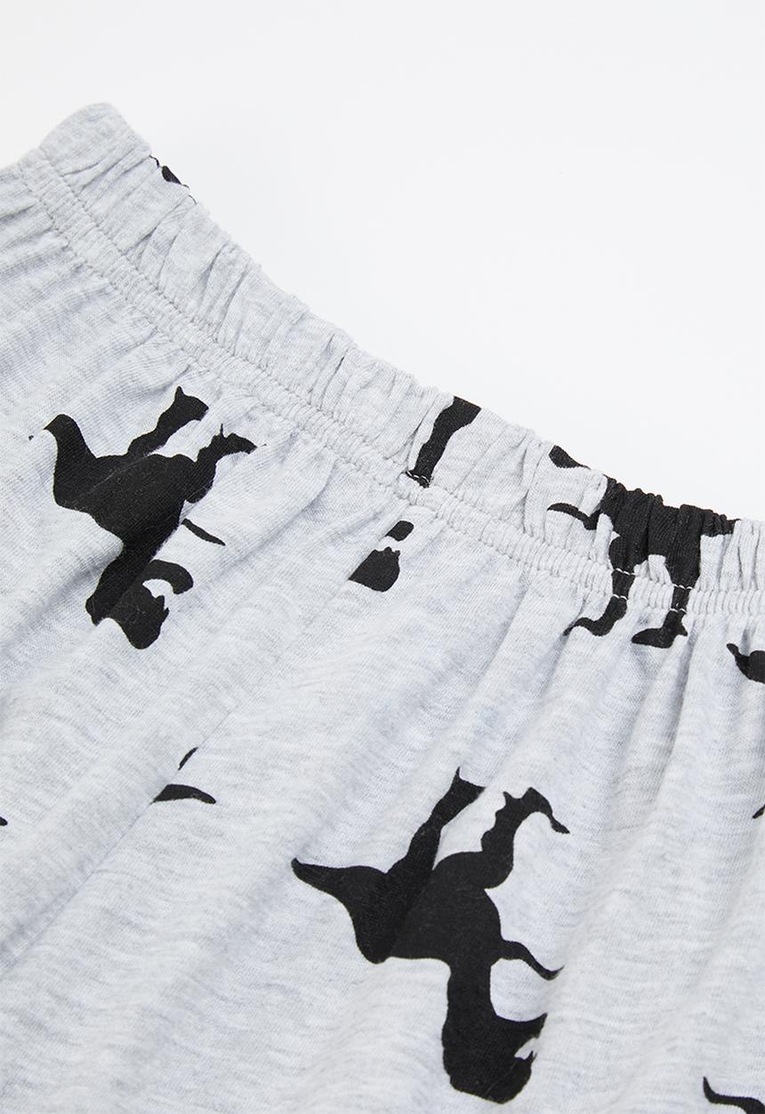 Pop Candy - Boys dino tee & shorts pj set - grey