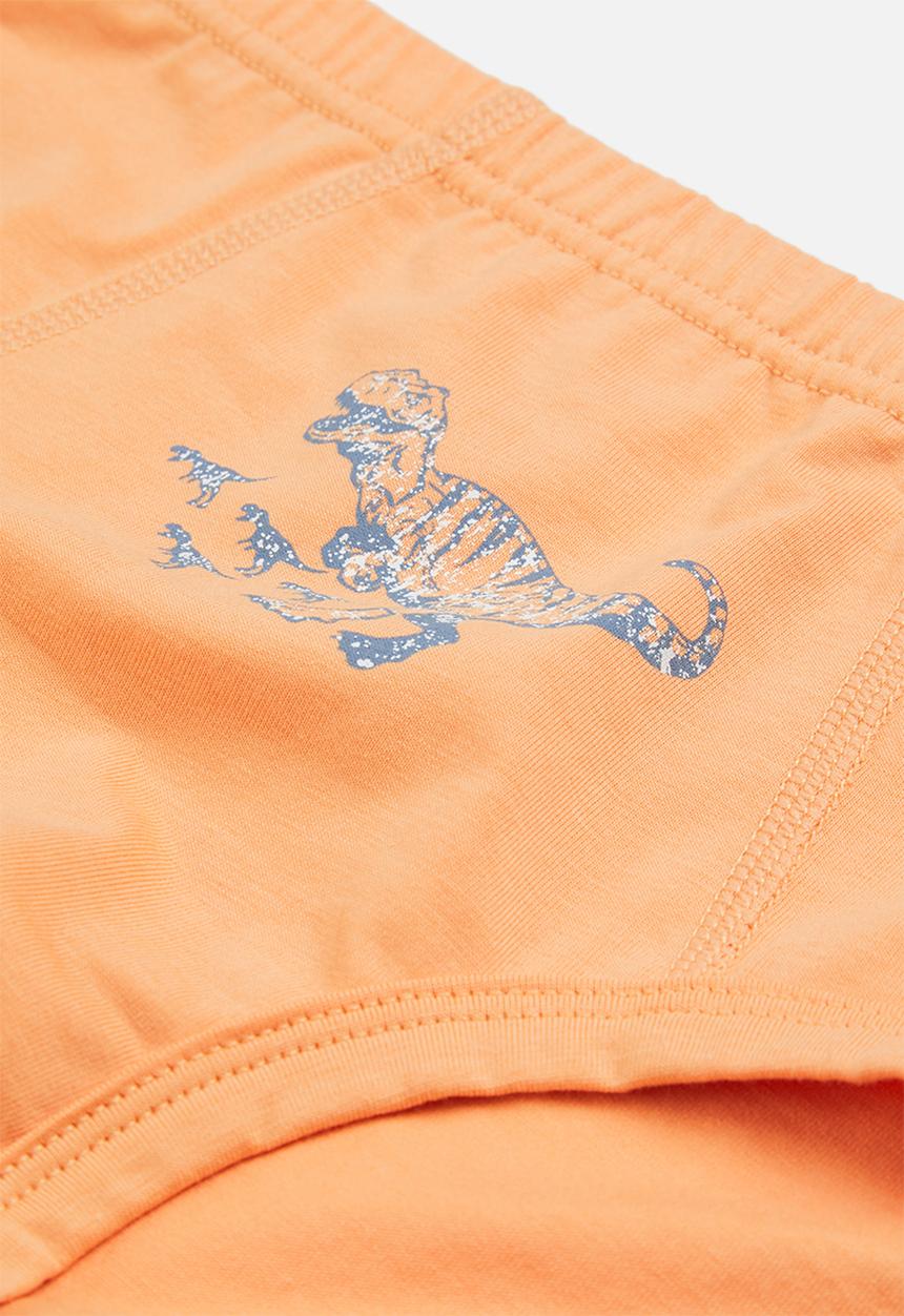 Pop Candy - Boys 3 pack dino briefs - multi