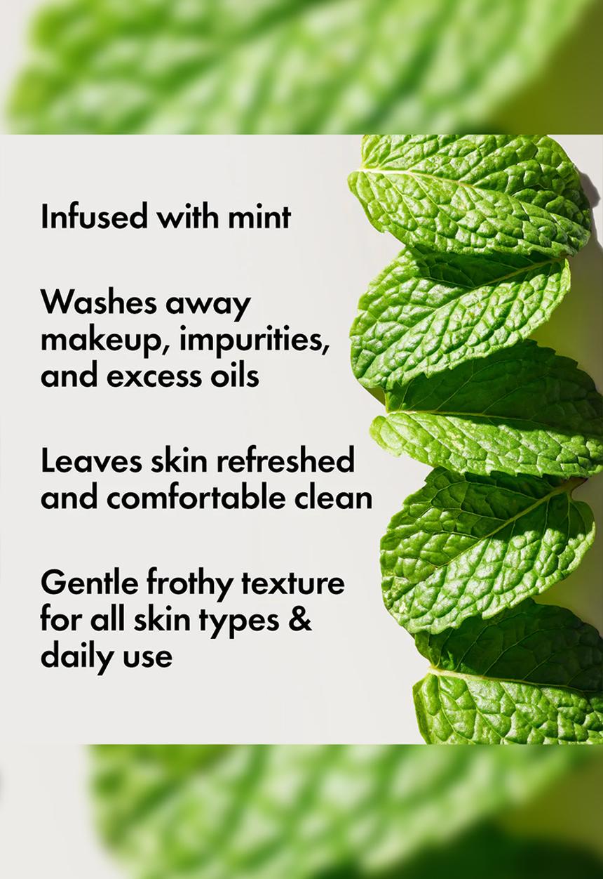 Origins - Checks and Balances™ Frothy Face Wash