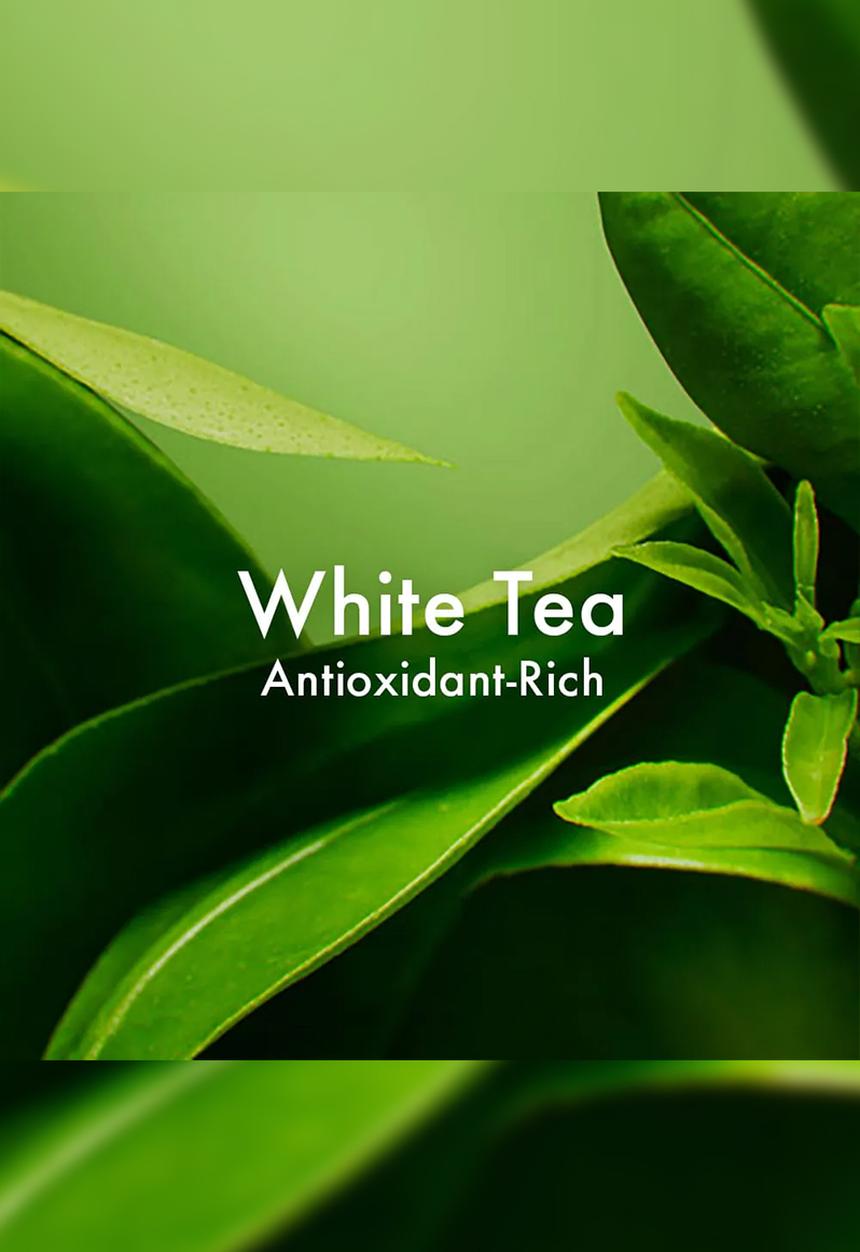 Origins - A Perfect World™ Antioxidant Moisturizer with White Tea