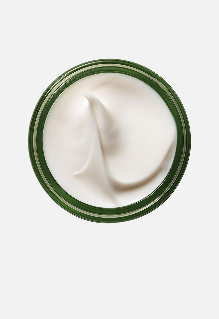 Origins - A Perfect World™ Antioxidant Moisturizer with White Tea