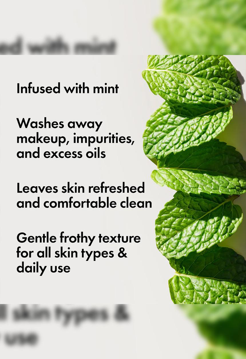 Origins - Checks and Balances™ Frothy Face Wash Mini
