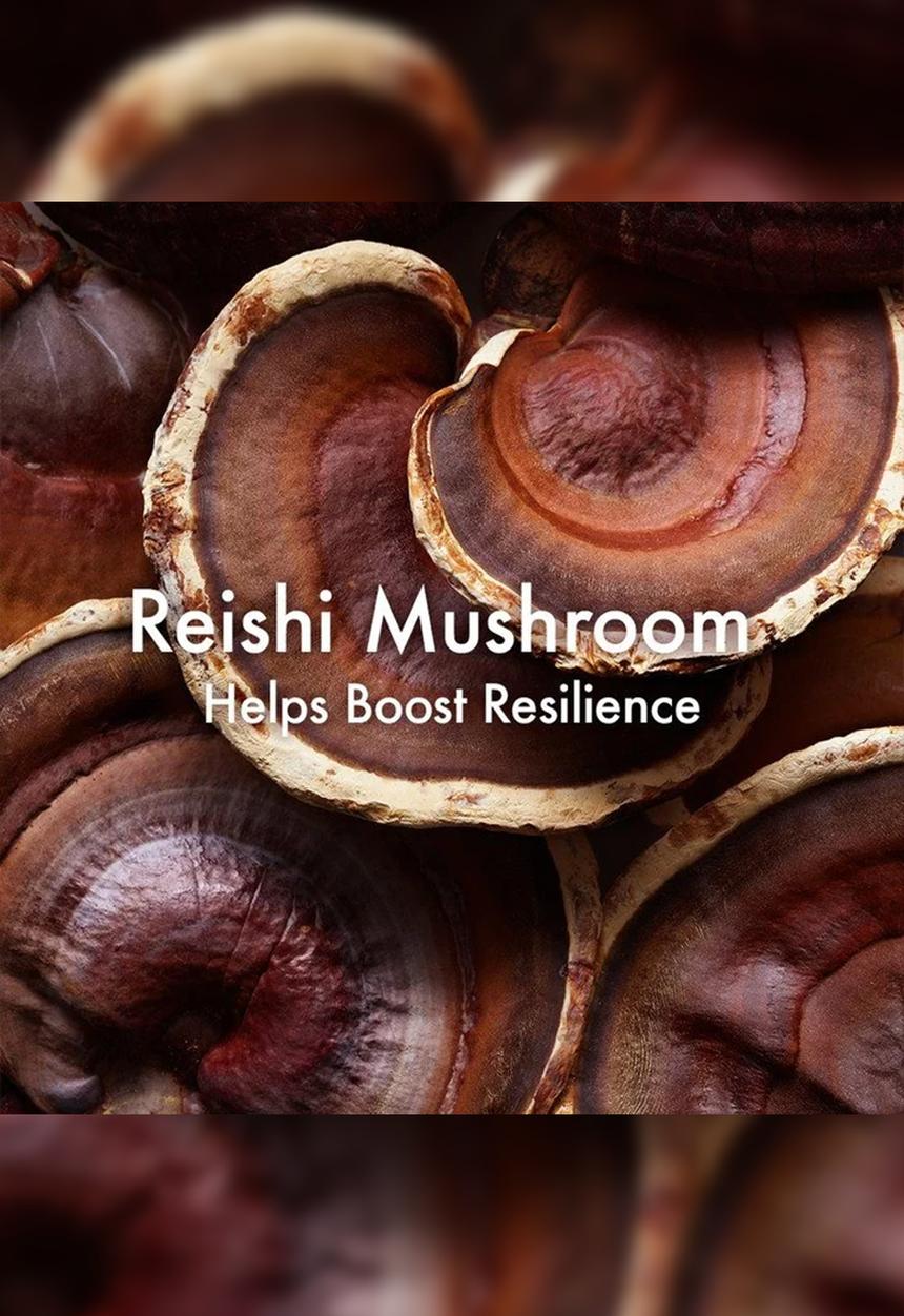 Origins - Mega-Mushroom™ Relief & Resilience Fortifying Emulsion
