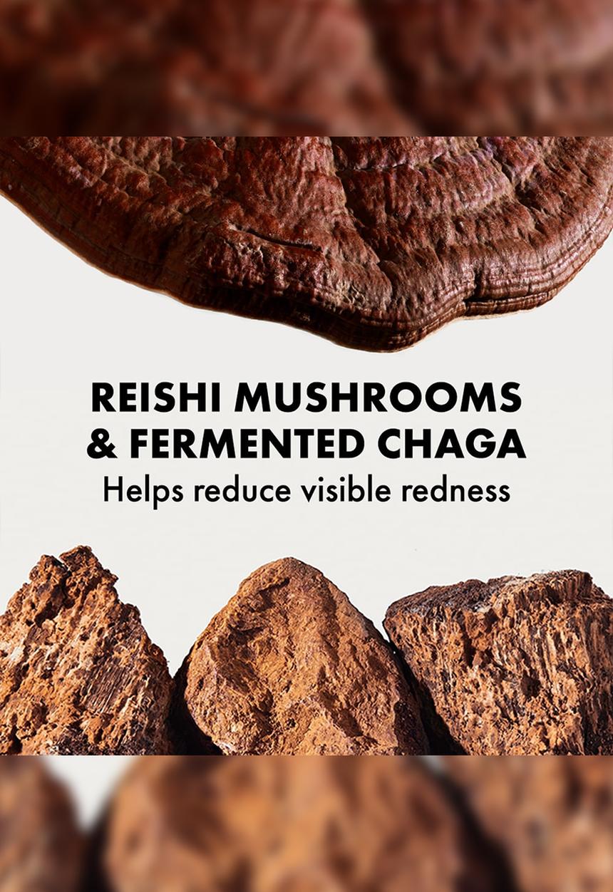 Origins - Mega-Mushroom™ Relief & Resilience Soothing Treatment Lotion