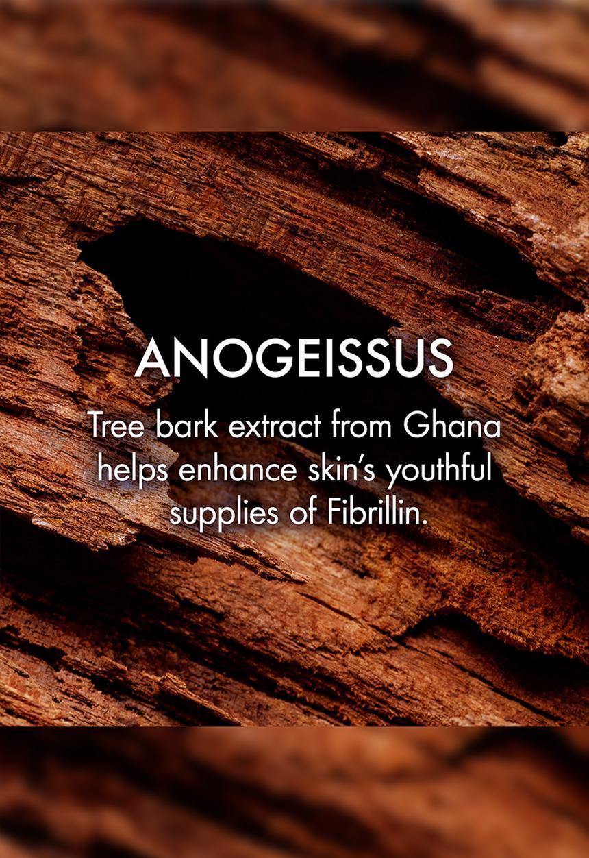 Origins - Plantscription™ Retinol Night Moisturizer with Alpine Flower
