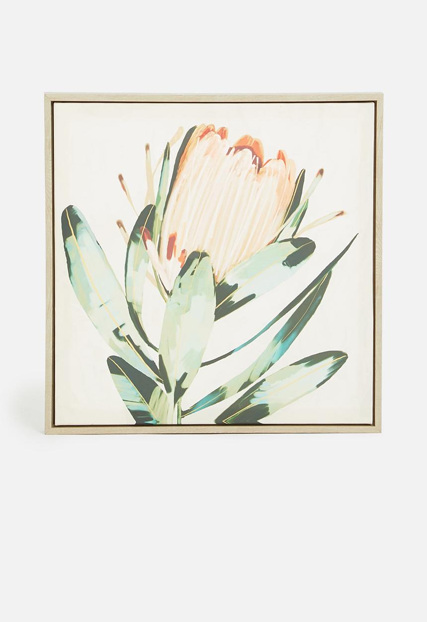 Hertex Haus - Proteas Natural