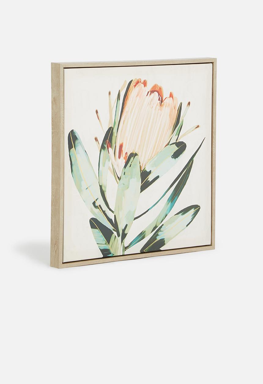 Hertex Haus - Proteas Natural