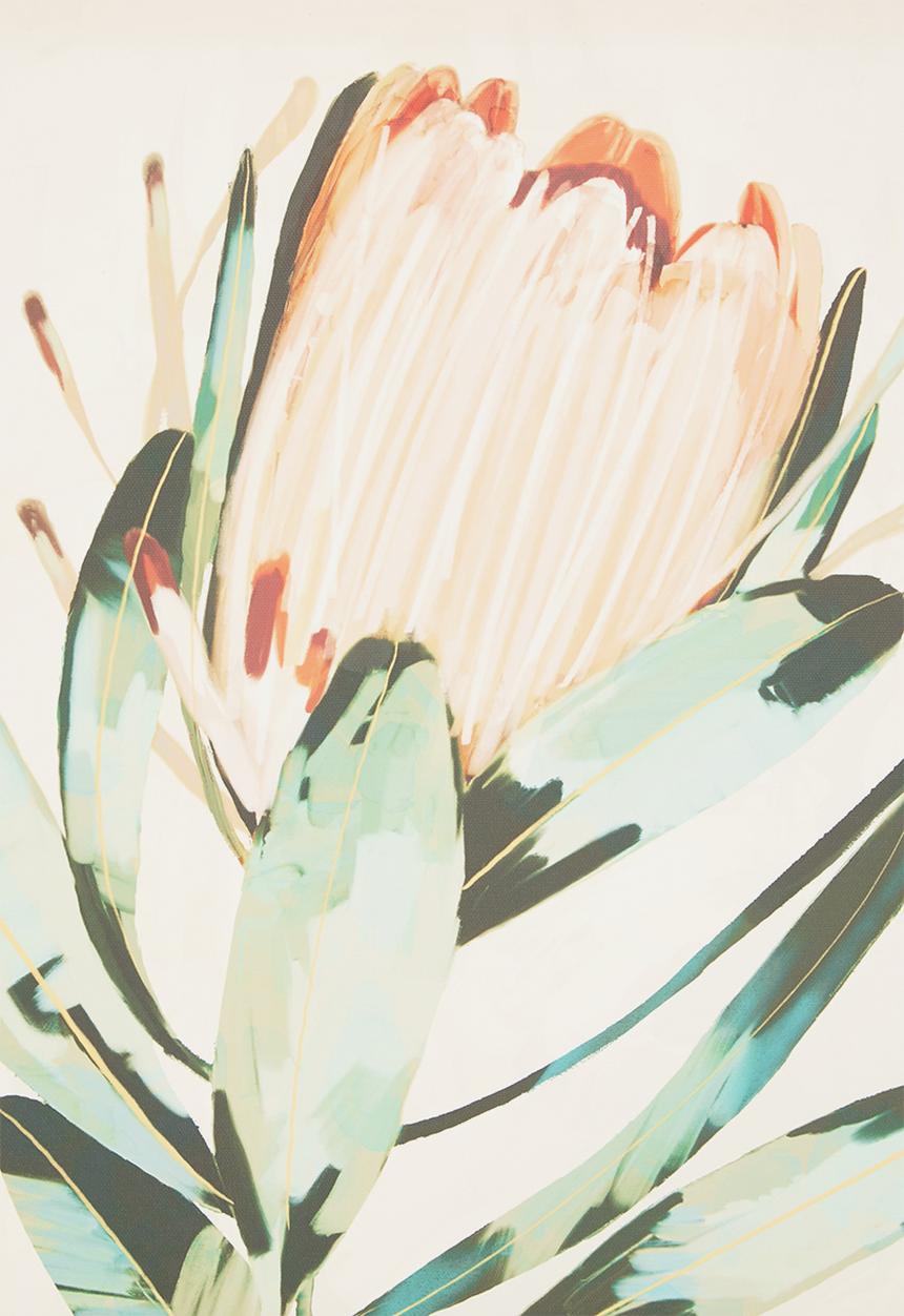 Hertex Haus - Proteas Natural