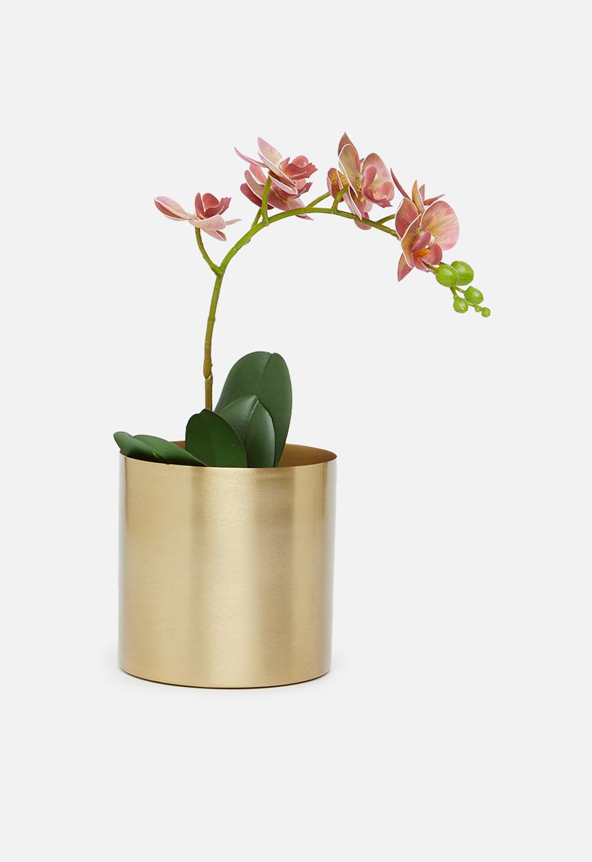Sixth Floor - Amelia planter - gold