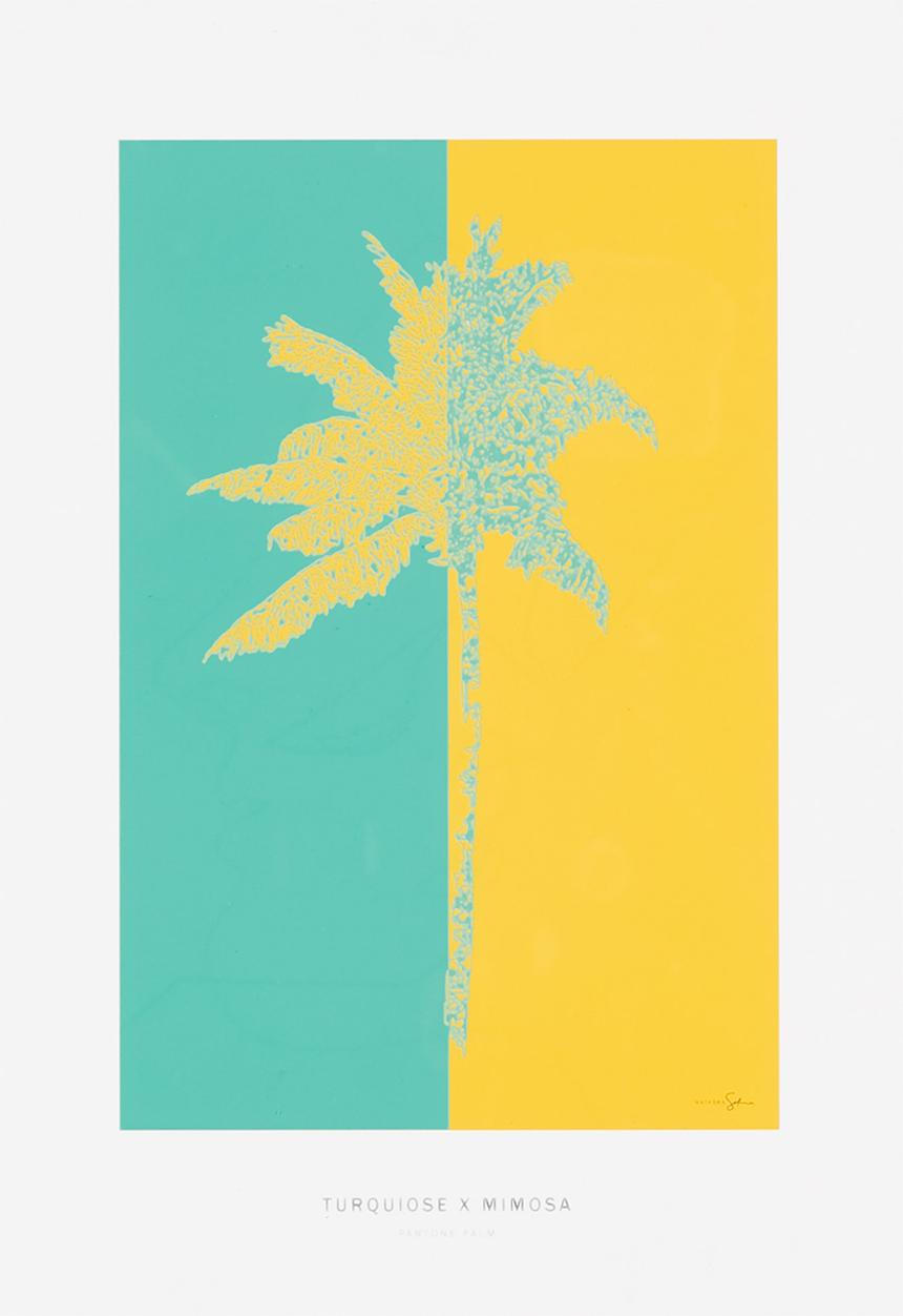 Natasha Setton Art - Turquoise x Mimosa