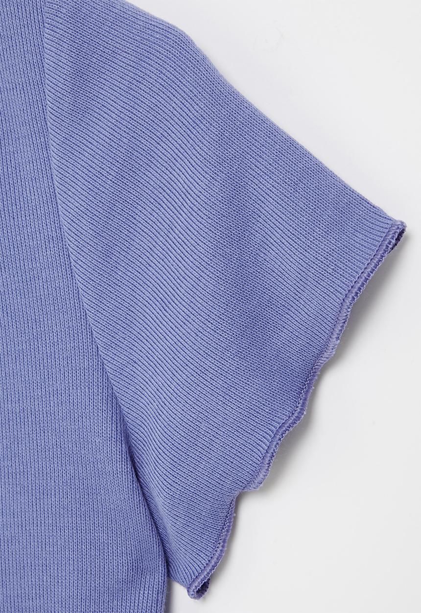 Rebel Republic - Rib cropped tee - periwinkle