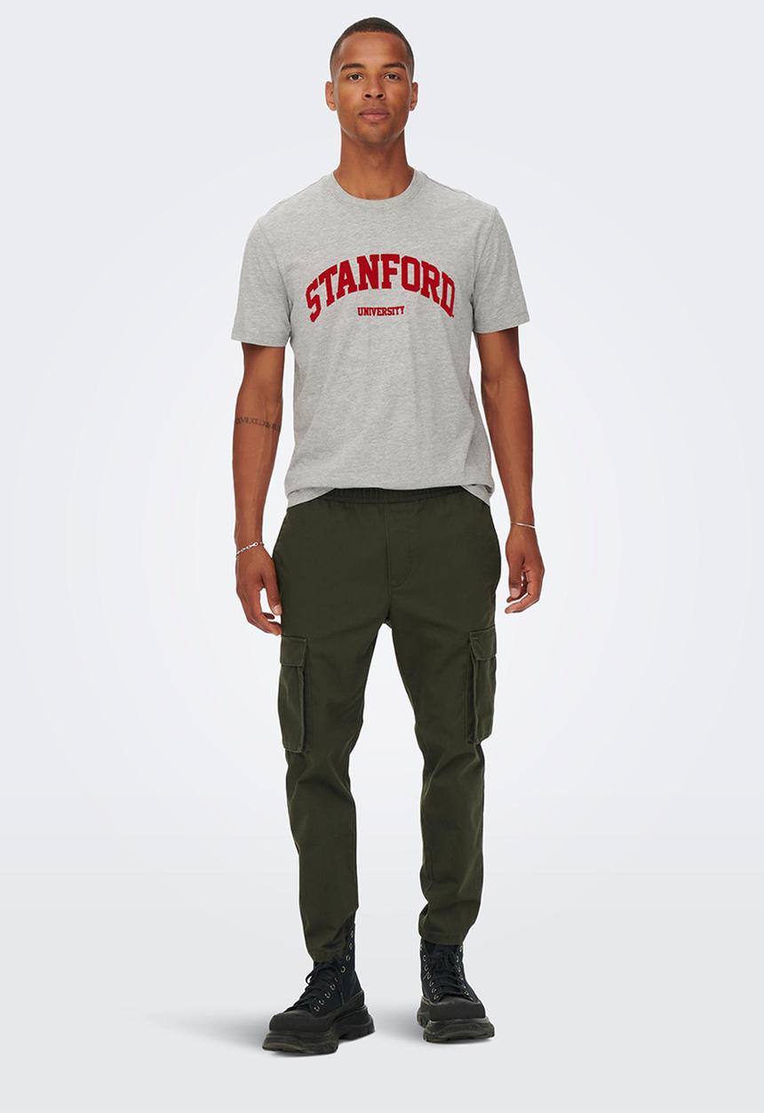 Only & Sons - Onsjake reg stanford short sleeve tee - light grey