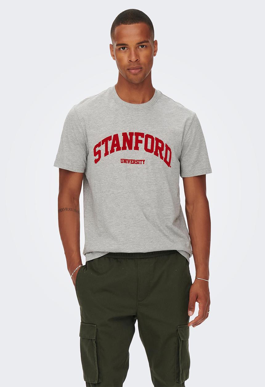 Only & Sons - Onsjake reg stanford short sleeve tee - light grey