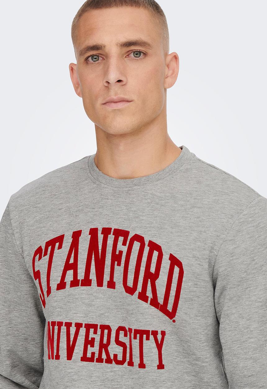 Only & Sons - Onsdylan reg stanford crew sweat - light grey