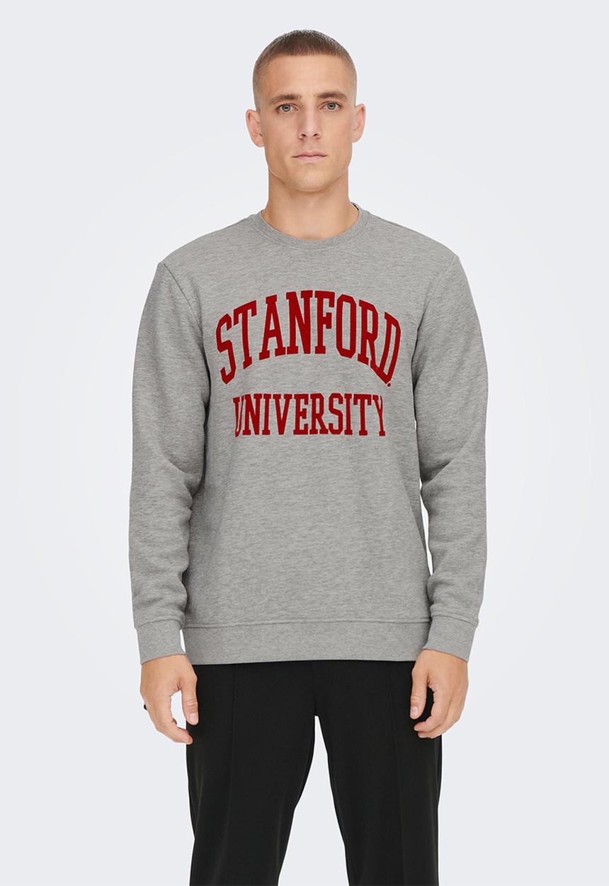Only & Sons - Onsdylan reg stanford crew sweat - light grey