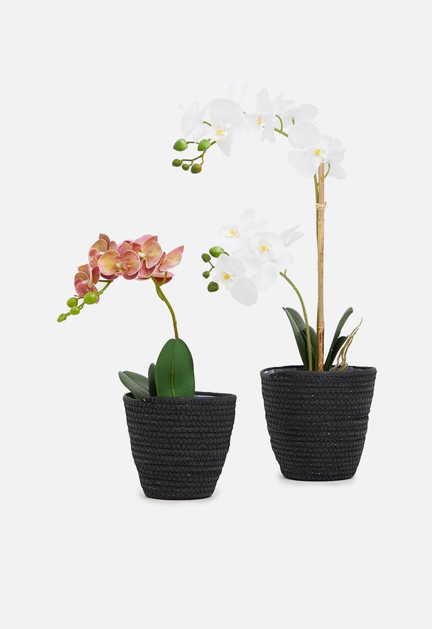 Sixth Floor - Muerte planter set of 2 - black