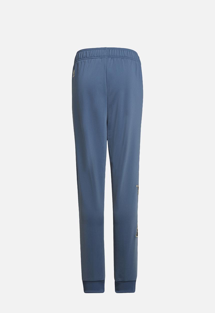 adidas Originals - Graphic pant - wonder steel