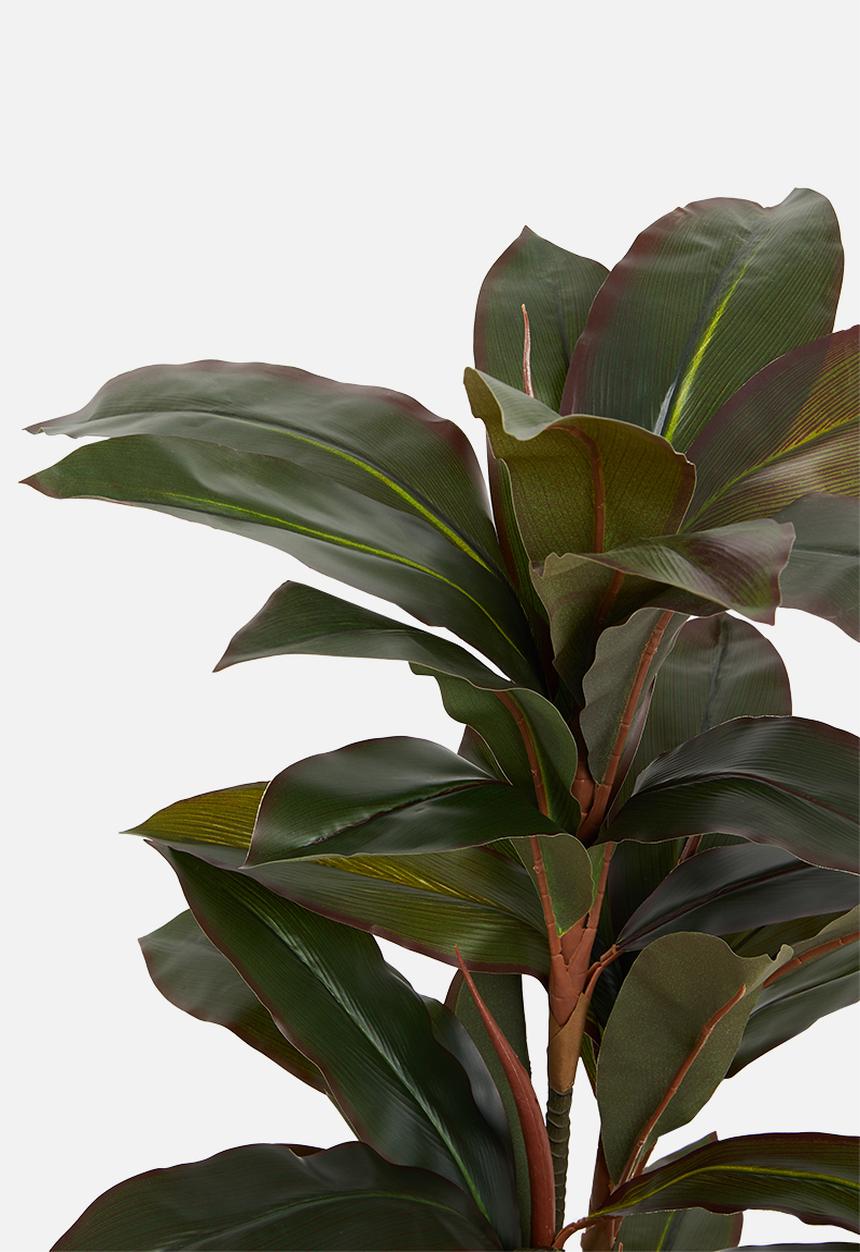 H&S - Dracaena artificial plant