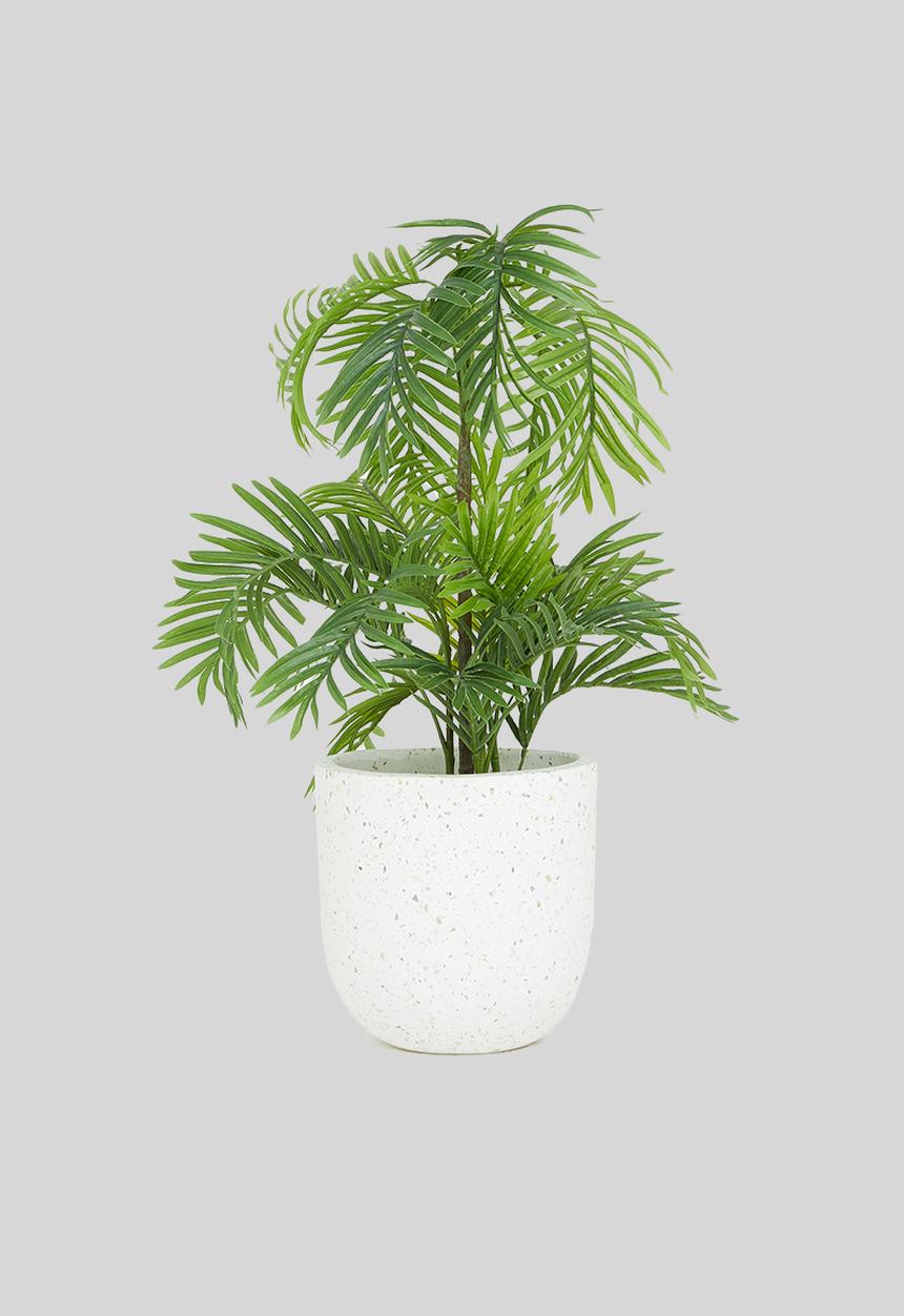 Potanical - Mother of pearl planter - cream seashell