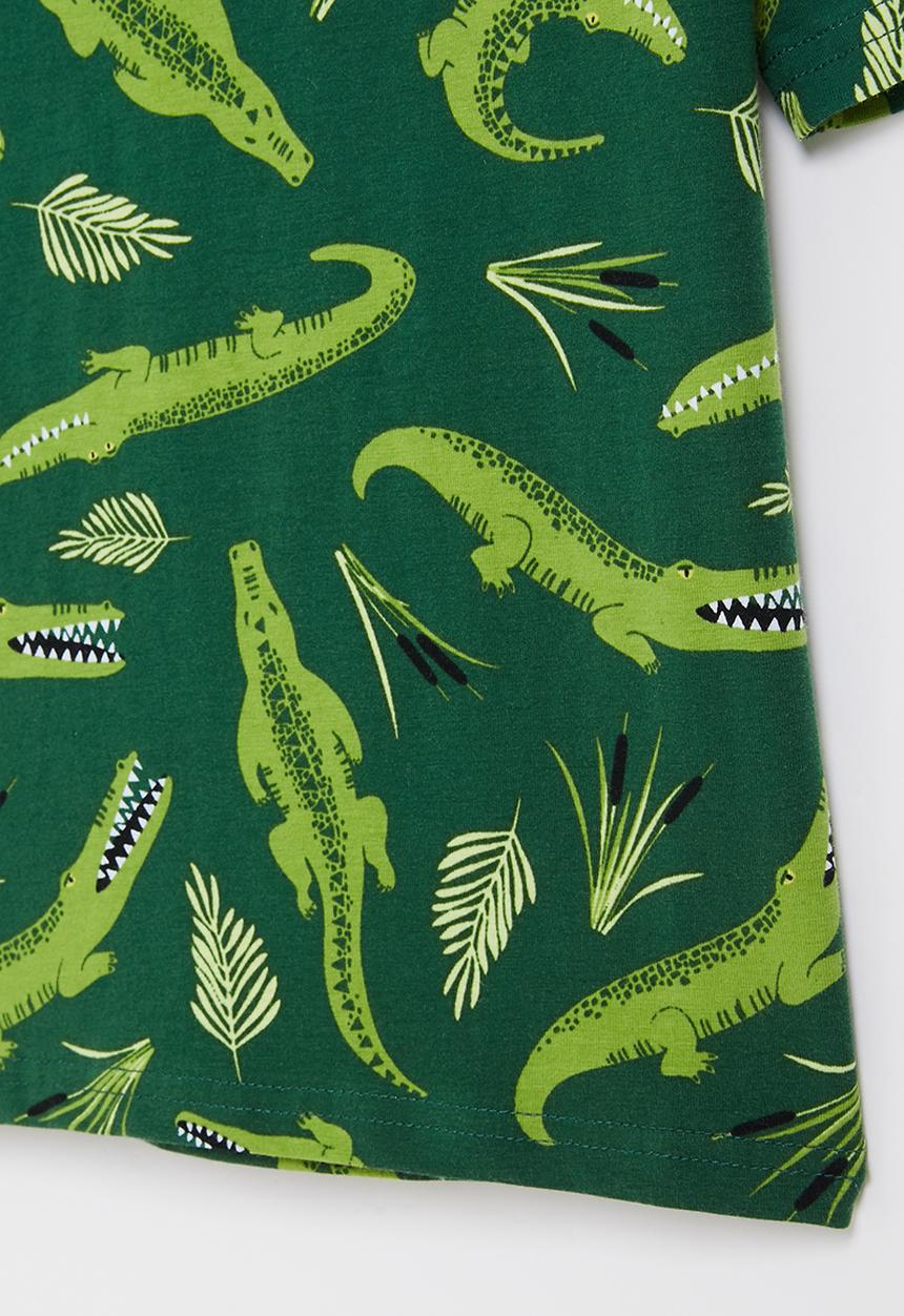 Rebel Republic - Boys printed tee - green