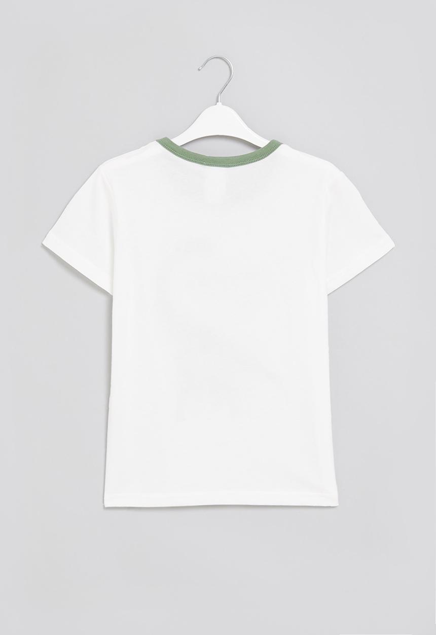 Pop Candy - Boys dino tee - white & green