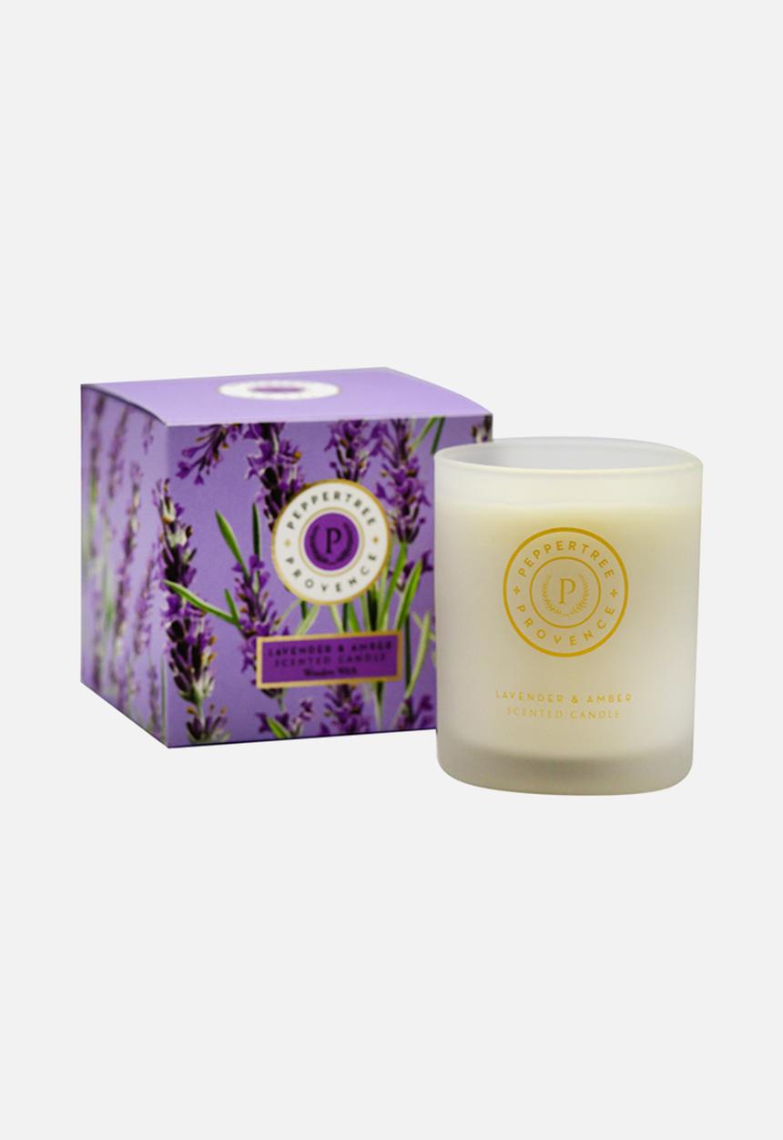 PEPPER TREE - Provence Lavender & Amber Candle