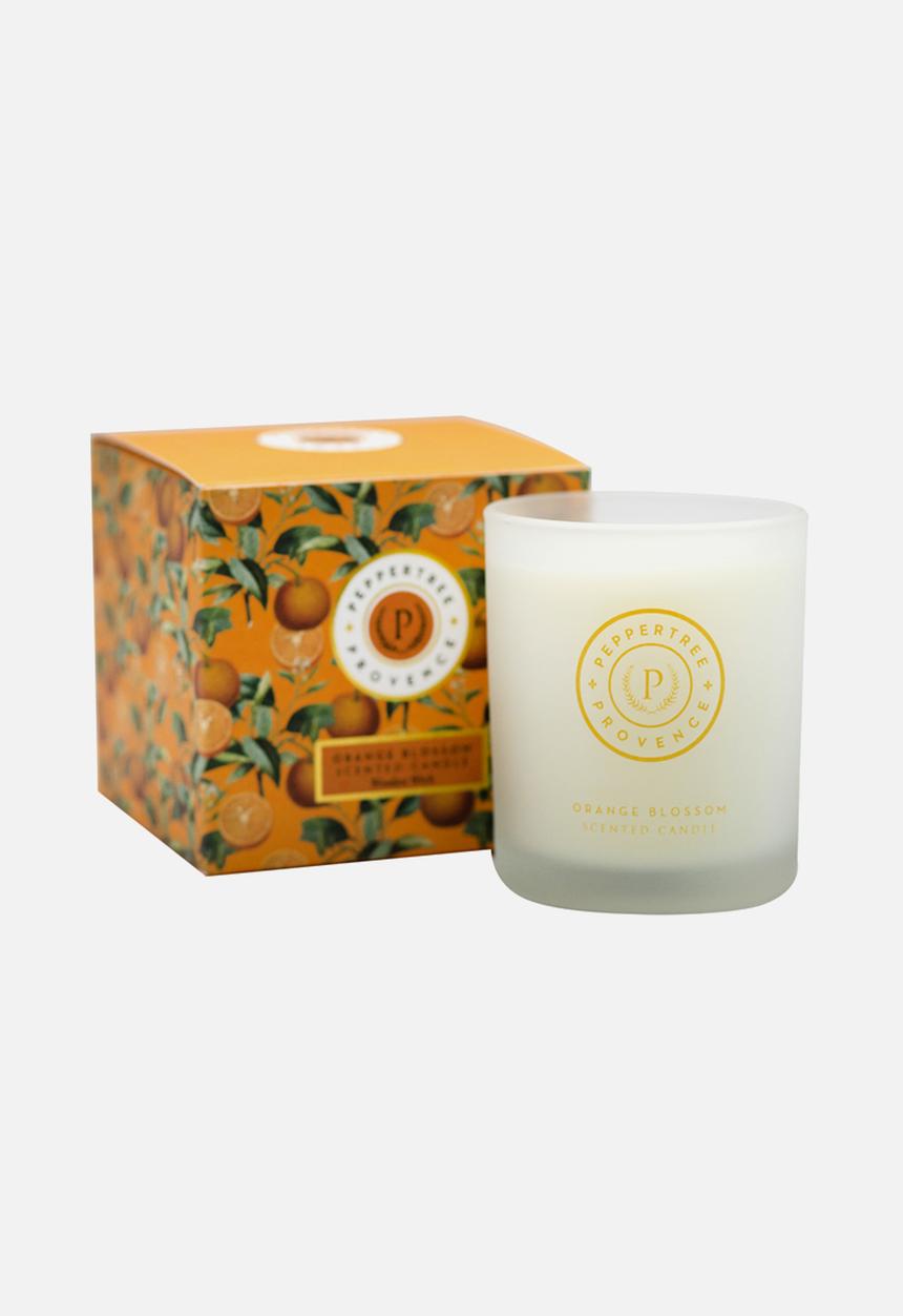 PEPPER TREE - Provence Orange Blossom Candle