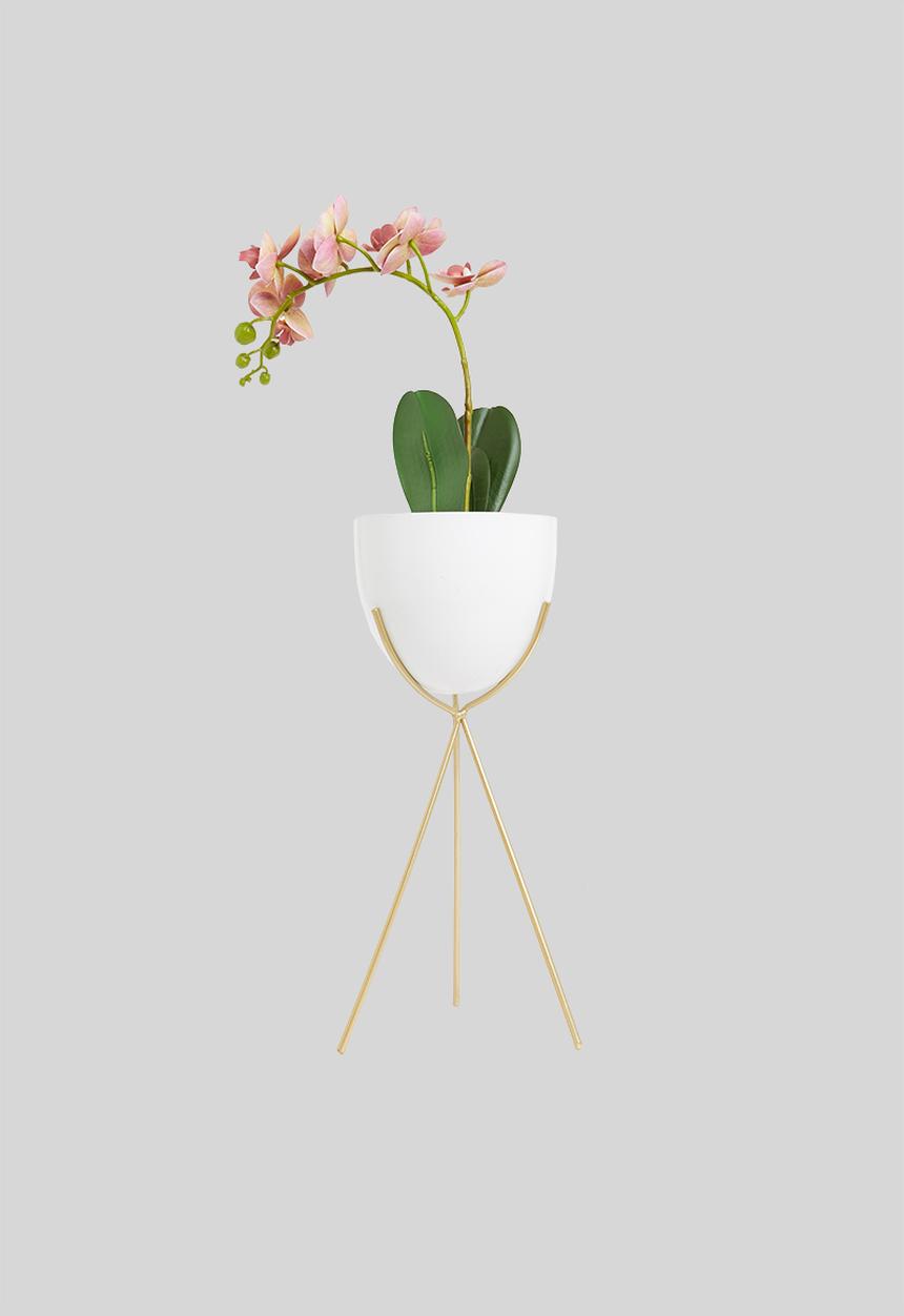 H&S - May flower pot- cream